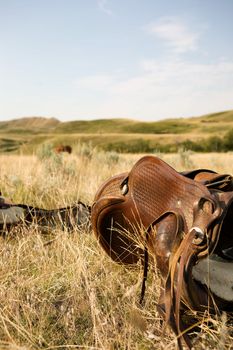 A western saddle laying on the prairie grassland bathed in warm sunlight