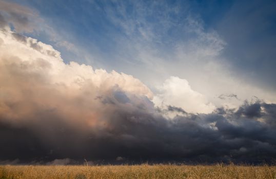 A prairie landscape with a wheat field and storm