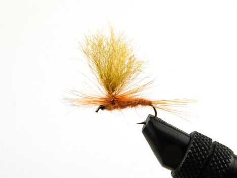 Fishing fly