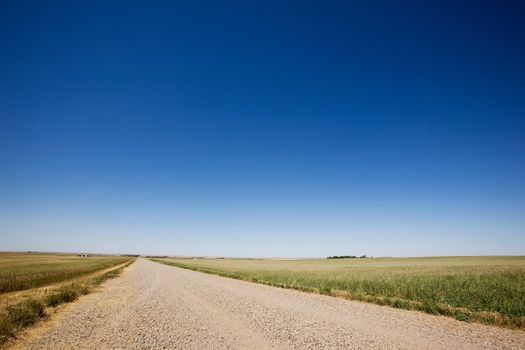 A prairie gavel road stretching off into the distance with no end in site.