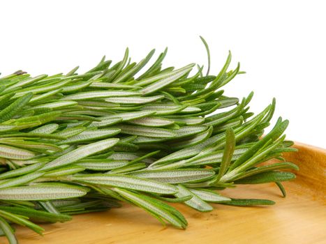 Rosemary herb