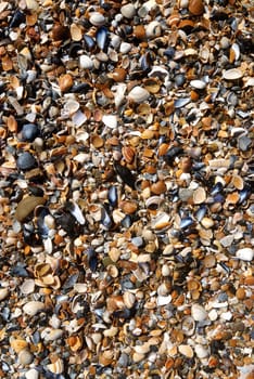 details of wet clean beach. Texture of shells, sand and stones