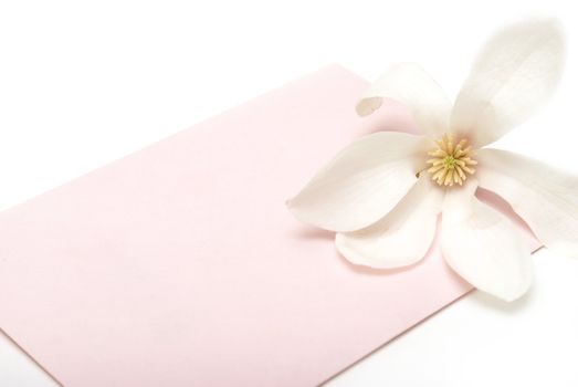 A pretty pink card for a girl with room for your text.