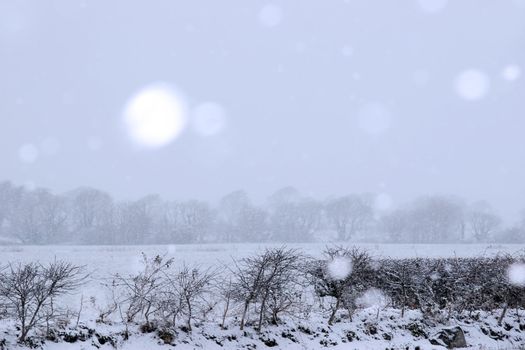 a snowy covered country scene in ballybunion ireland with snow falling