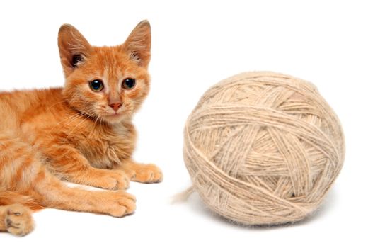 red small cat and big clew of wool isolated on white 