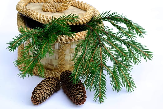 green branch fir tree with pinecone and basket isolated