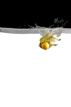 one physalis thrown in water with black and white background