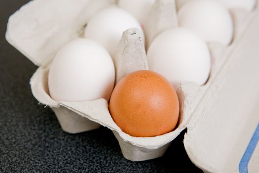 A single brown egg in a carton of white eggs - Shallow depth of field is used to isolate the brown egg.