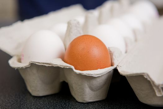 A single brown egg in a carton of white eggs - Shallow depth of field is used to isolate the brown egg.