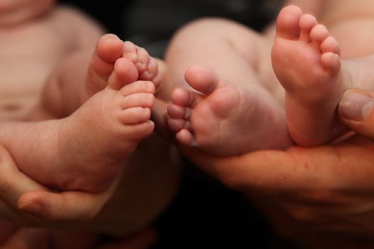 four baby feet are kept - close-up