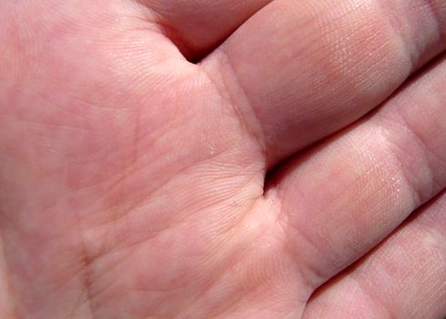 A close up of the skin of a human hand.