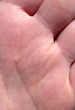 A close up of the skin of a human hand.
