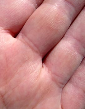 A close up of the skin of a human hand.
