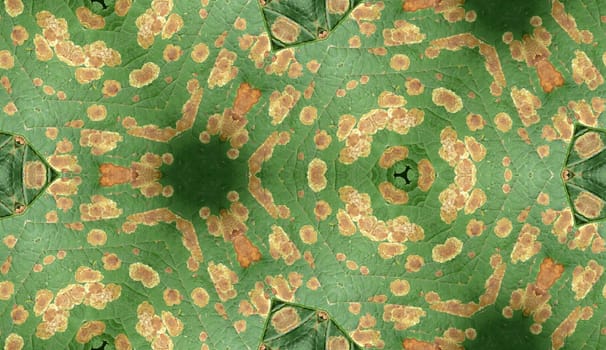 A seamless texture pattern background of an infected leaf.