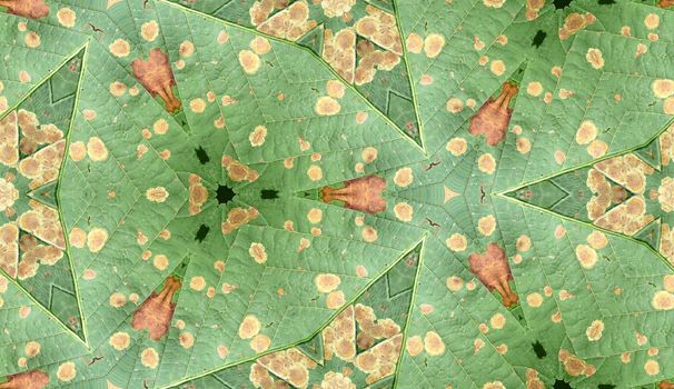 A seamless texture pattern background of an infected leaf.