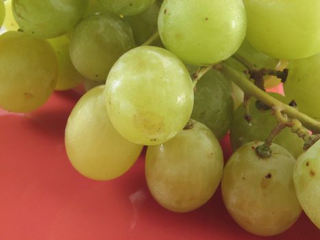 close up of a bunch of grape on a red plate