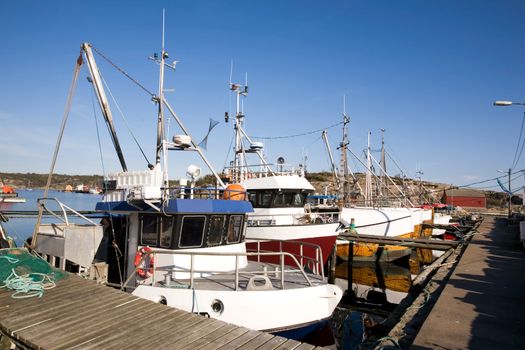 A number of fishing boats sit at dock on a warm summer day.