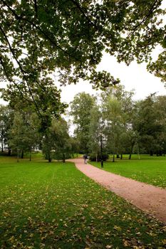 A green lush park with a walking path