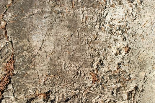 A layerd rock background texture from oslo, norway.