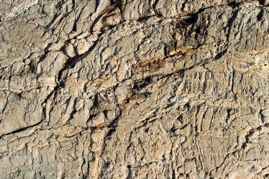 A layerd rock background texture from oslo, norway.