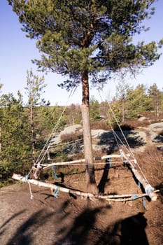 A homemade swing hanging from an evergreen pine tree.