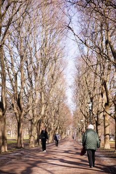 An old woman on a walk in a park in the early spring sunshine.
