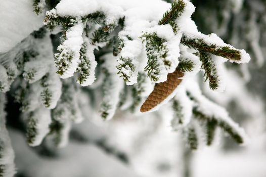 White winter texture and mood image.  A winter setting with lots of snow.