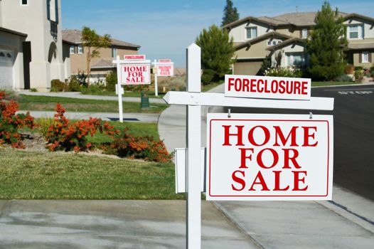 Row of Foreclosure Home For Sale Real Estate Signs in Front of Houses.