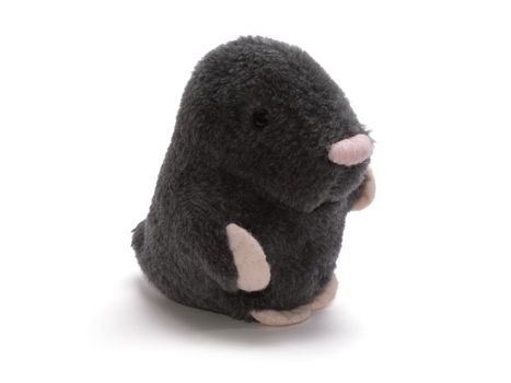 Toy Mole left side view isolated on the white background