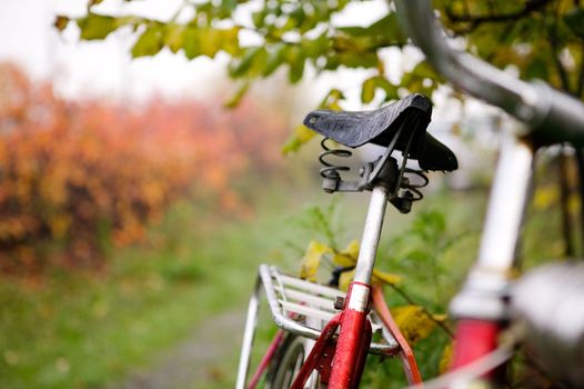 An old red bike detail with a shallow depth of field on a rainy fall day.  Focus on the seat.