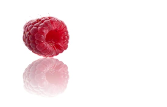 Single raspberry on white background with reflection