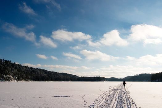 Cross country ski trails on a beautiful blue winters days.