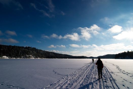 Cross country ski trails on a beautiful blue winters days.