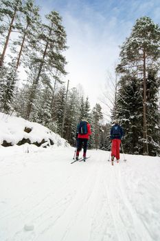 Cross country ski trails on a beautiful blue winters days.