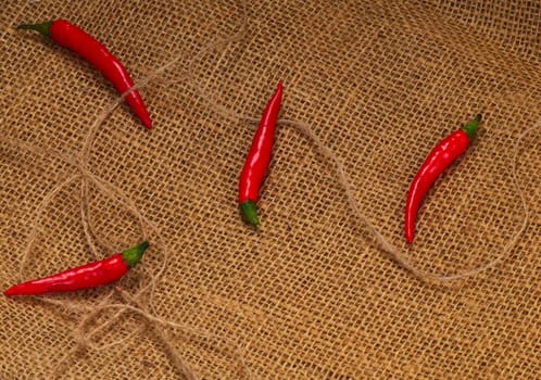 Four red hot chilli pepper on a sacking