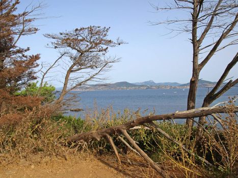 Path on a french Riviera coastline near the city of Giens