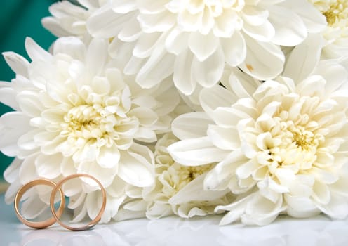 wedding rings and white chrysanthemumon. Shallow DOF