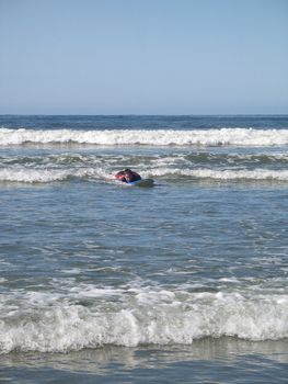 surfer on it's board in the ocean