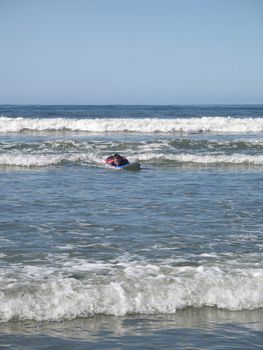 surfer on it's board in the ocean