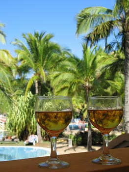 beer glasses in a tropical environment