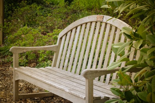 Park bench in the shadow of trees in a green park in spring