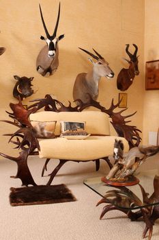 Room for trophies of the hunter.