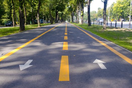 City bike lane along shady wooden street