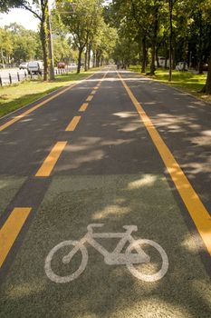 City bike lane along shady wooden street