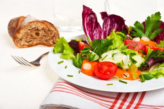 mixed salad on a white plate with a fork