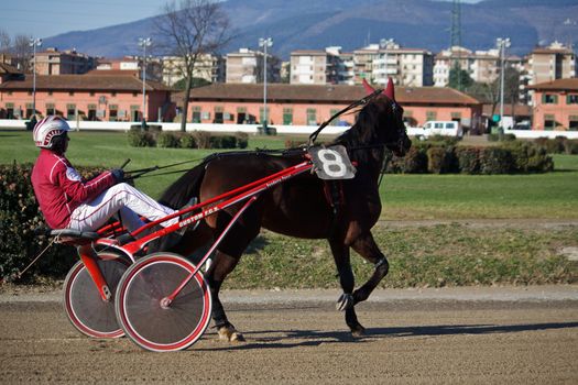 An image of horse trotting cart race competition