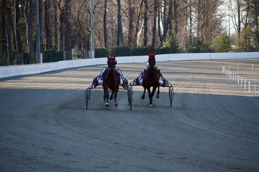 An image of horse trotting cart race competition