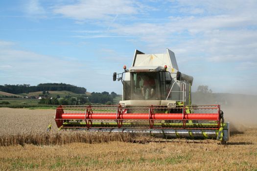 harvester on a wheat field