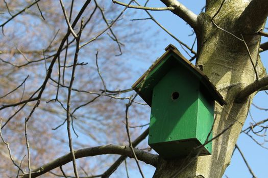 Green birdhouse at a tree in spring