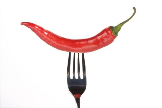 single red hot chili pepper on a fork